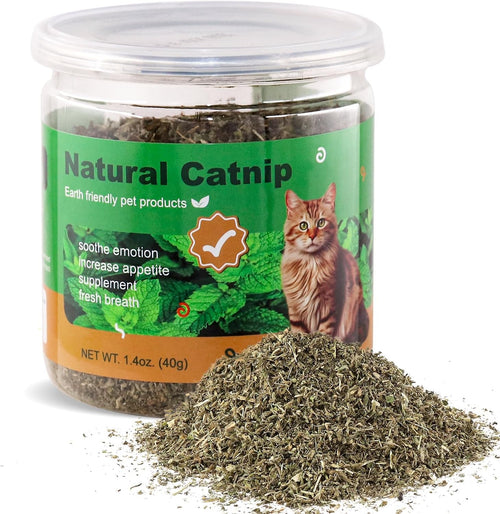 Catnip